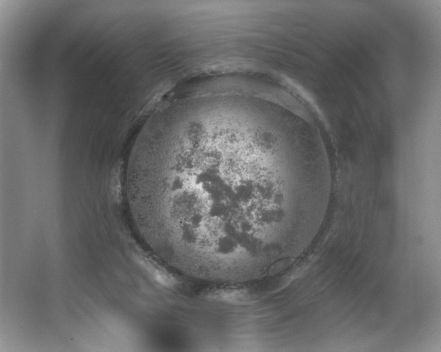 X0000067470065200604071205