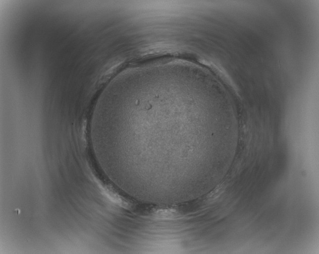 X0000067470066200604071205