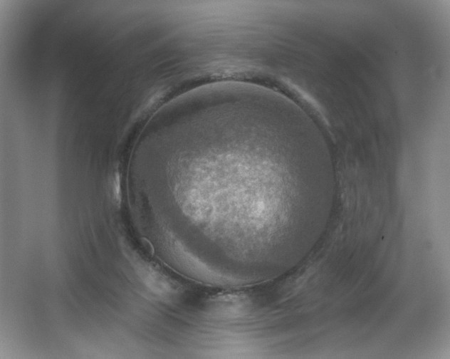 X0000067470067200604071205