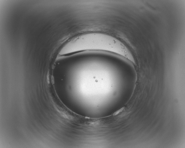 X0000067470068200604071205