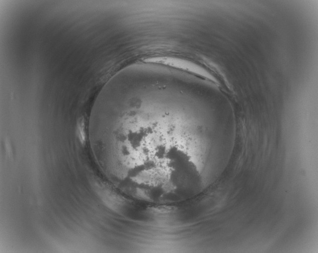 X0000067470069200604071205