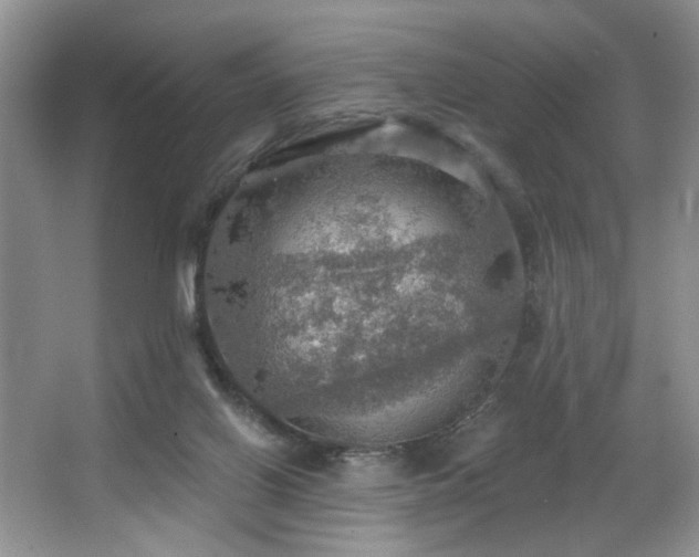 X0000067470070200604071205