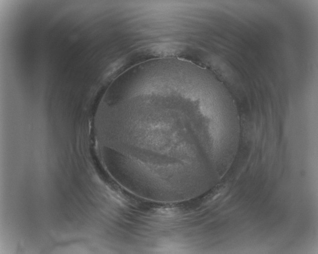 X0000067470071200604071205