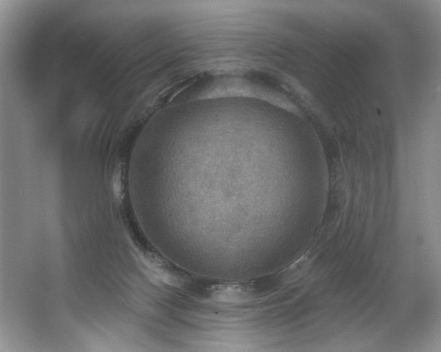 X0000067470074200604071205