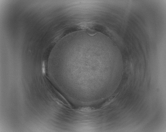 X0000067470075200604071205