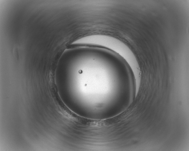 X0000067470077200604071205