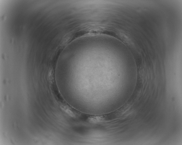 X0000067470079200604071205