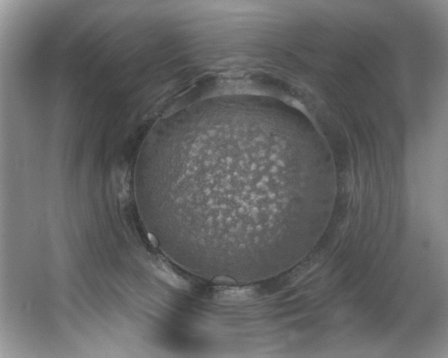 X0000067470081200604071205