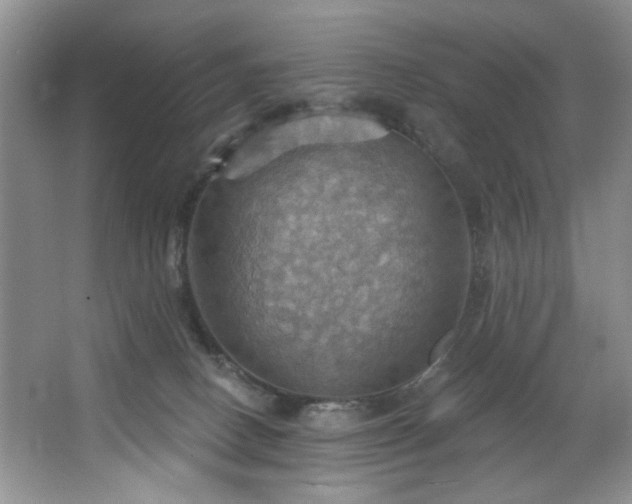 X0000067470082200604071205