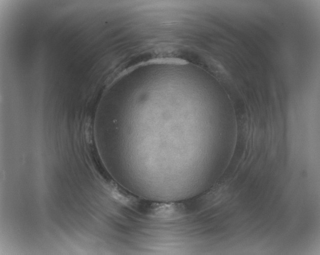 X0000067470083200604071205