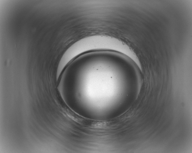 X0000067470084200604071205