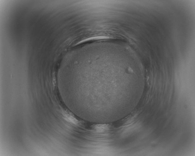 X0000067470085200604071205