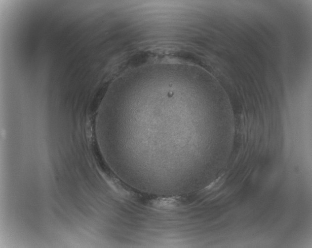 X0000067470086200604071205