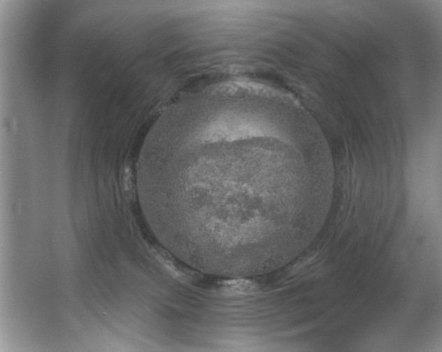 X0000067470087200604071205