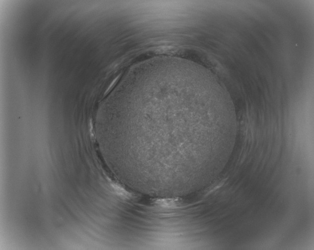 X0000067470089200604071205