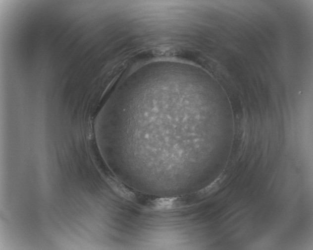 X0000067470090200604071205