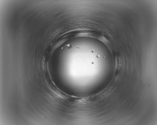 X0000067470092200604071205