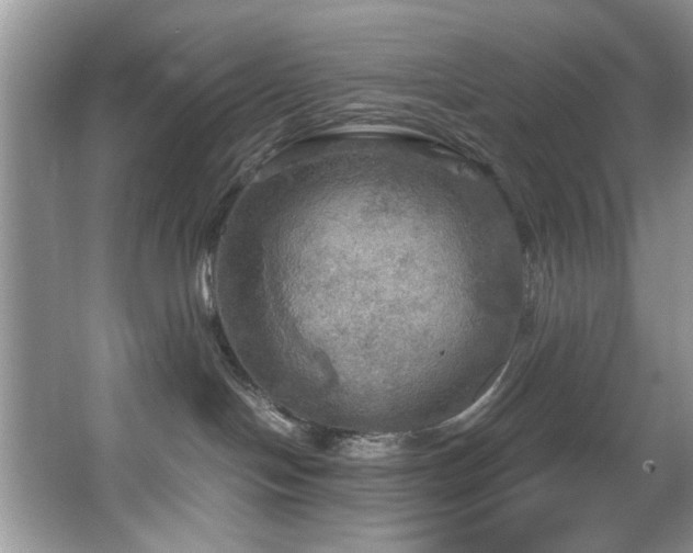 X0000067470094200604071205