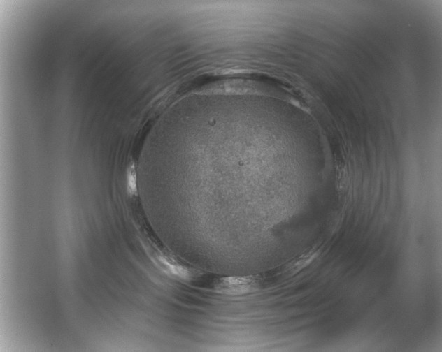 X0000067470095200604071205