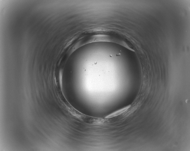 X0000067470096200604071205