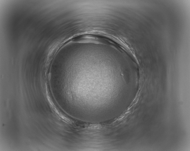 X0000067470097200604071204