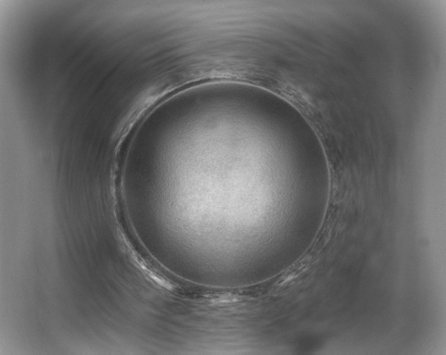 X0000067470098200604071204