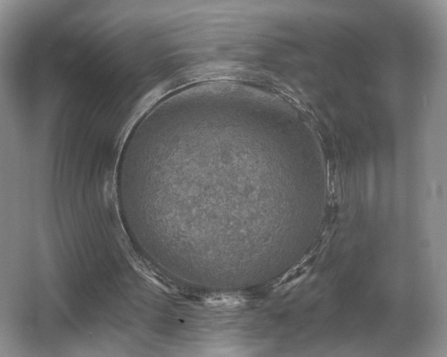 X0000067470099200604071204