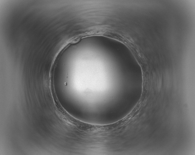 X0000067470100200604071204