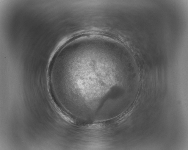 X0000067470102200604071204