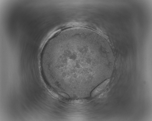 X0000067470103200604071204