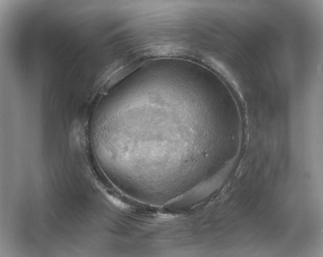 X0000067470105200604071204