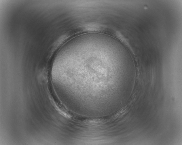 X0000067470106200604071204