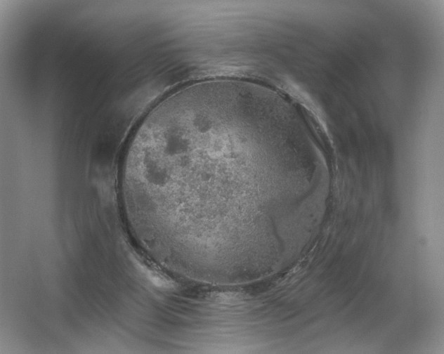 X0000067470107200604071204