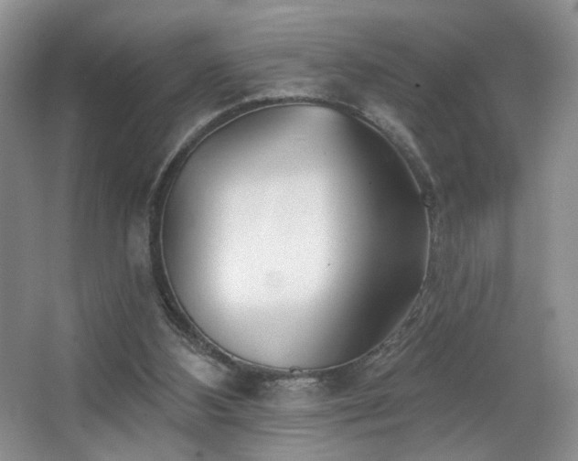 X0000067470108200604071204