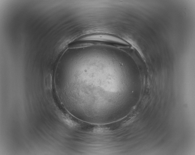 X0000067470109200604071204