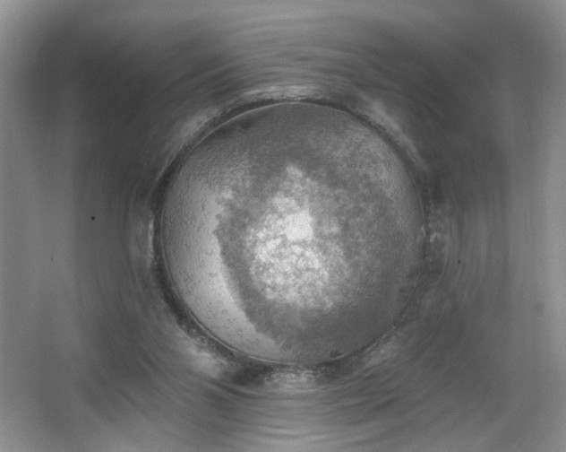 X0000067470110200604071204