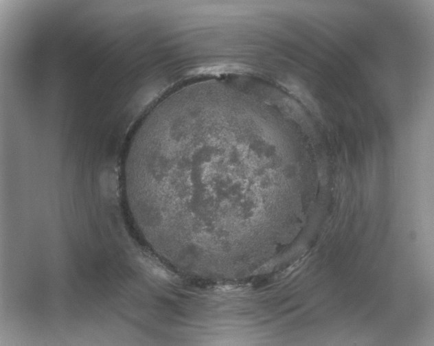 X0000067470111200604071204