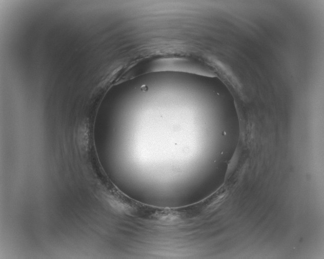 X0000067470113200604071204