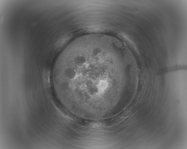 X0000067470115200604071204