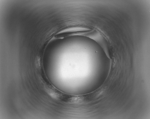 X0000067470117200604071204