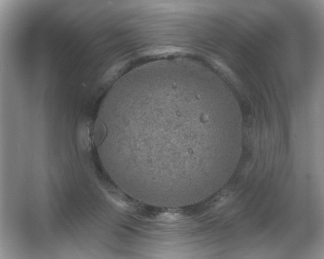 X0000067470119200604071204