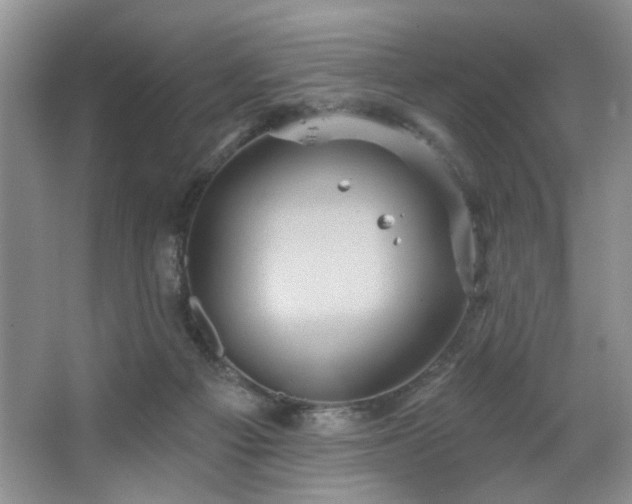 X0000067470121200604071204