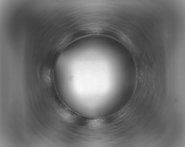 X0000067470122200604071204