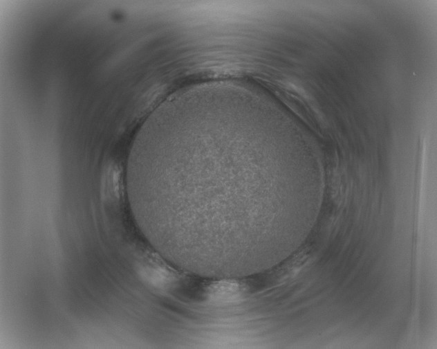 X0000067470123200604071204