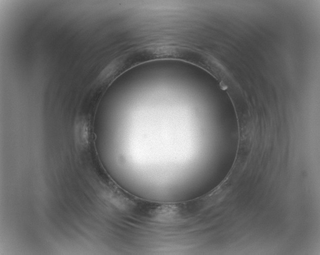 X0000067470124200604071204