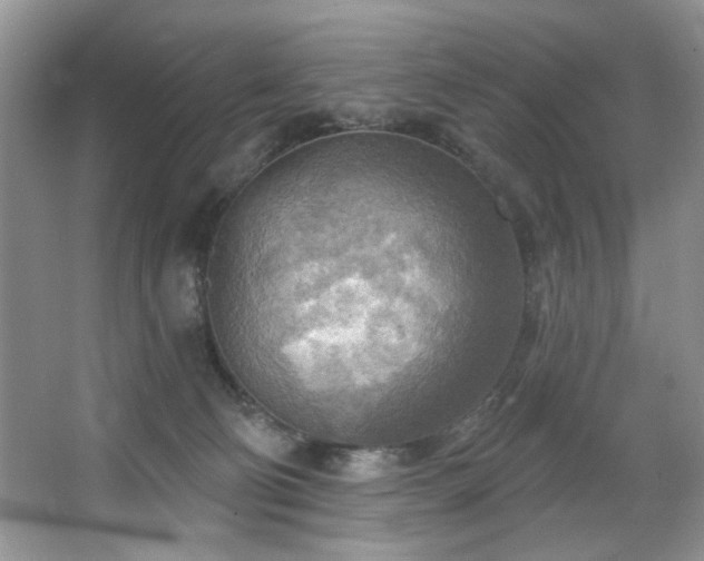 X0000067470130200604071204