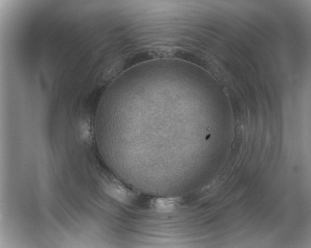 X0000067470134200604071204