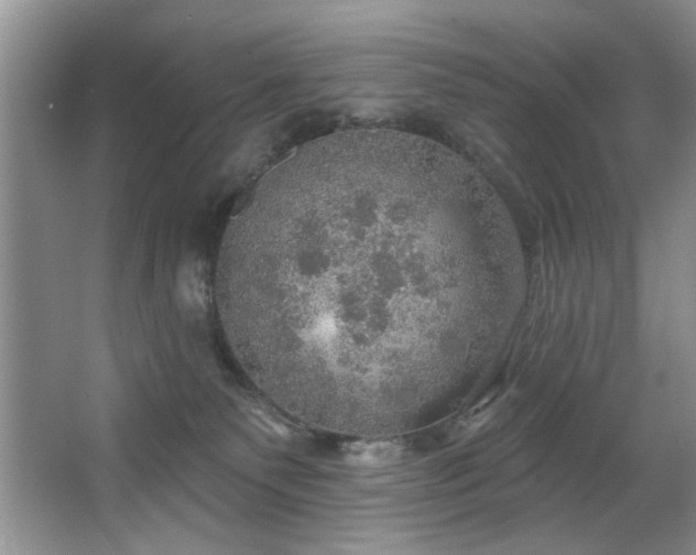 X0000067470135200604071204