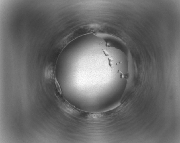 X0000067470137200604071204