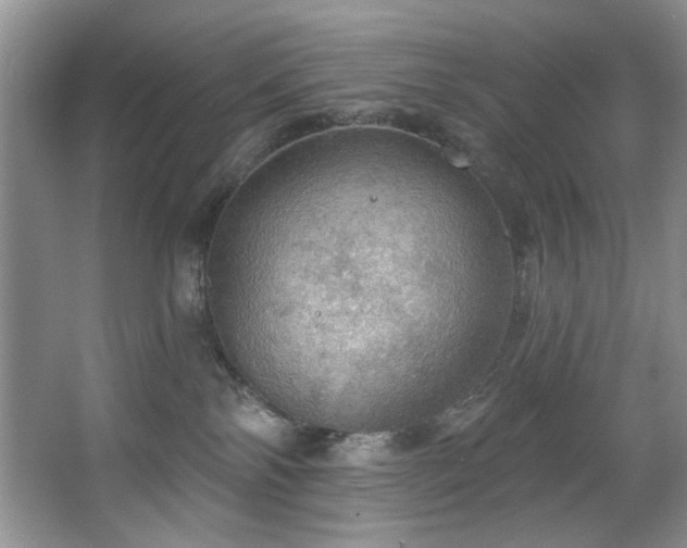 X0000067470138200604071204